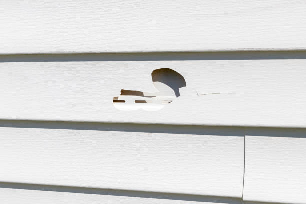 Best Siding Painting and Refinishing  in Lake Tapps, WA