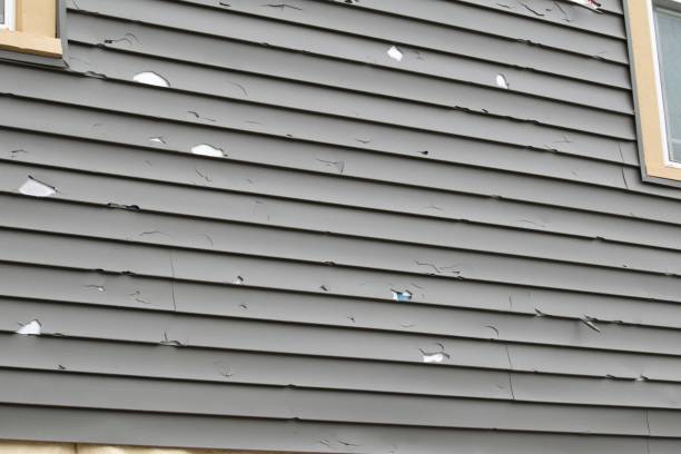 Best Custom Trim and Detailing for Siding  in Lake Tapps, WA